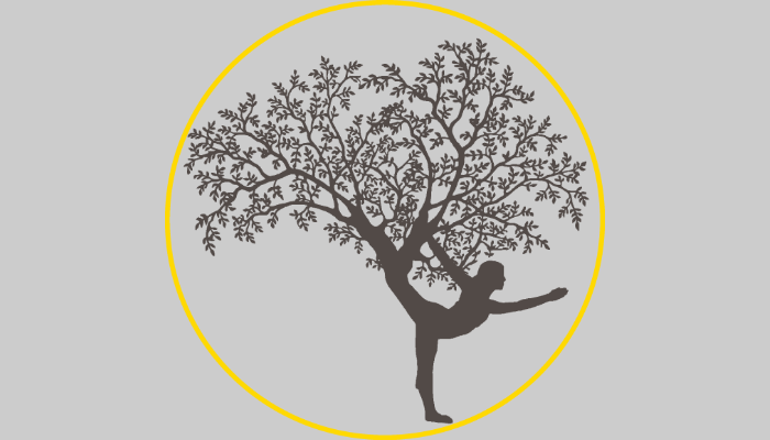 Integrated Body Therapies